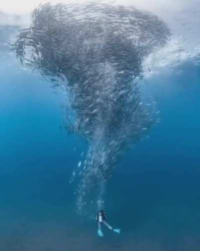 🔥 Cabo Pulmo's Jack tornado