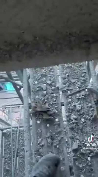 OSHA is typing&hellip;