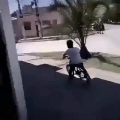 NINJA CUMBIA