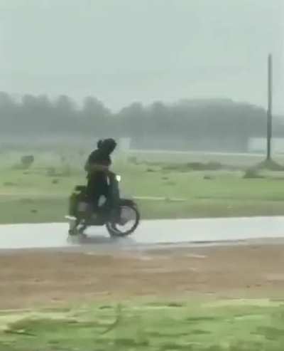 S&oacute; na curti&ccedil;&atilde;o