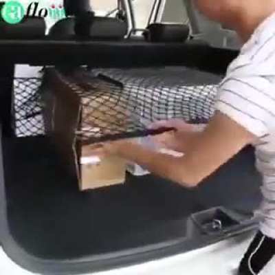 Car Storage Net