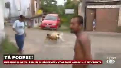 brasil