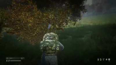 Buddy and I had a terrifying experience.