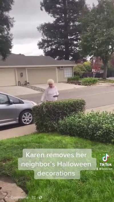 Entitled Karen removes her neighbor&rsquo;s Halloween decorations from her own yard