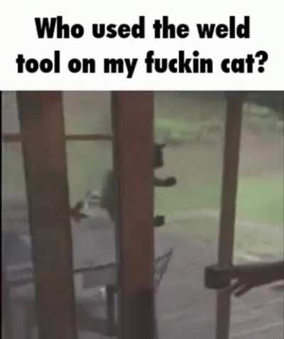 WHO DID IT?