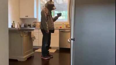 Cereal