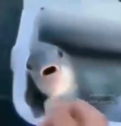 Videos random que encuentro por hay