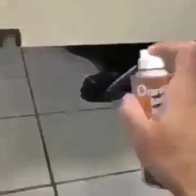 heyyy