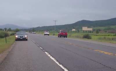 Car hits moose in Colorado