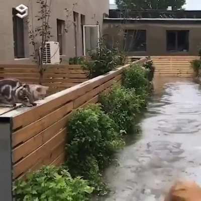 How did he do that?!?
