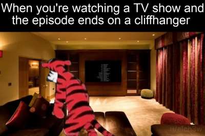 I just wanna know what happens next