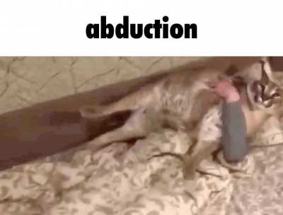 abduction