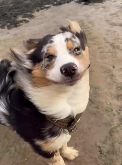 It&rsquo;s a little windy on the beach today