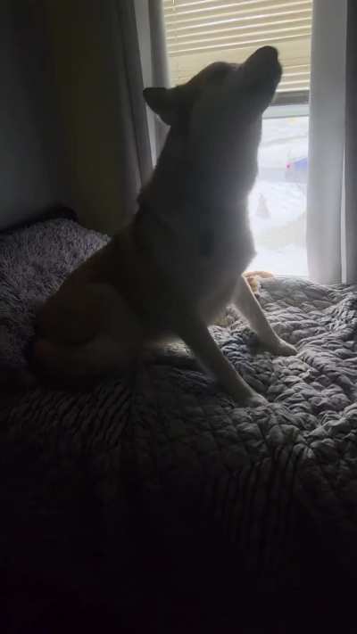 Morning mini tantrum in bed