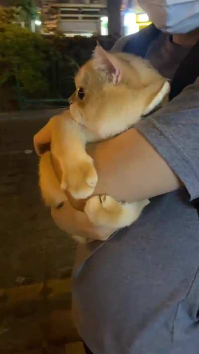 His position is now in my lap