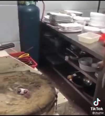 UP VOTE