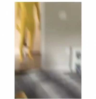 Rubber chicken life