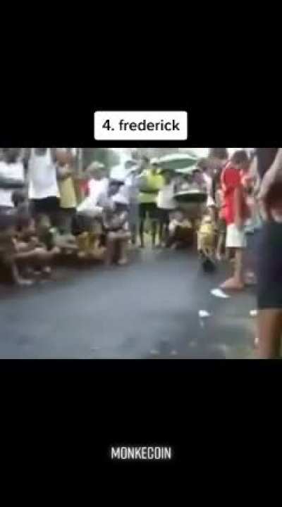 Top 5 biker monke