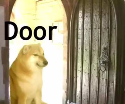 OH NO DOGE YOU'RE TRAPPED IN THE DORIME MEME BUT IT'S JUST DOOR OH F*CK