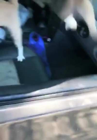 POV - you&rsquo;re just walking to your car