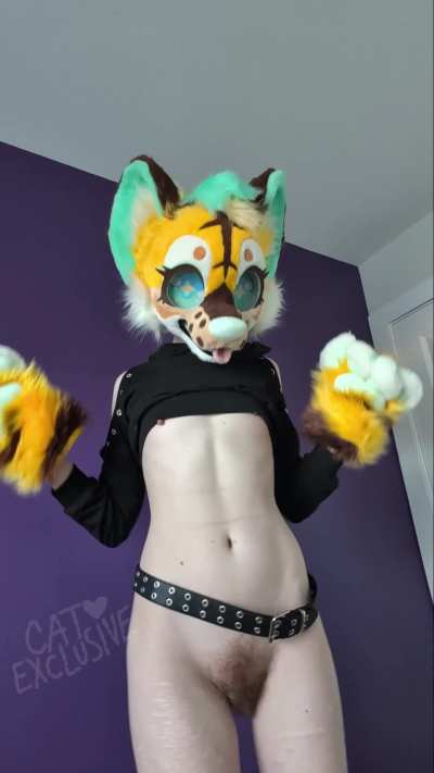 Bouncy kitty says HAIII KISS KISS SAY IT BACK :3