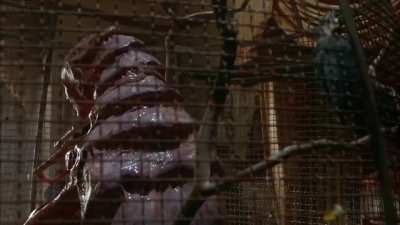 Naked Lunch (1991)