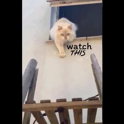&ldquo;Do not attempt this at home&rdquo;