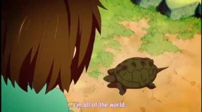 Yui&rsquo;s turtle song