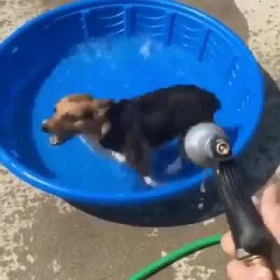 To get sprinkled