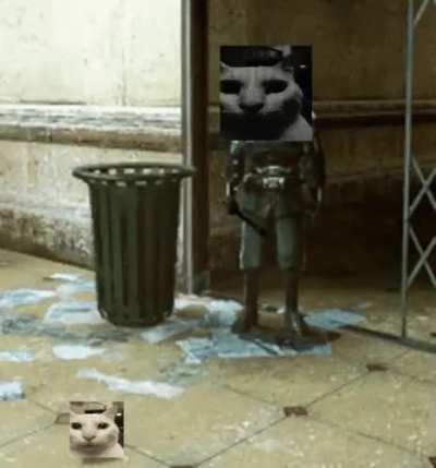 Pick up that cat.