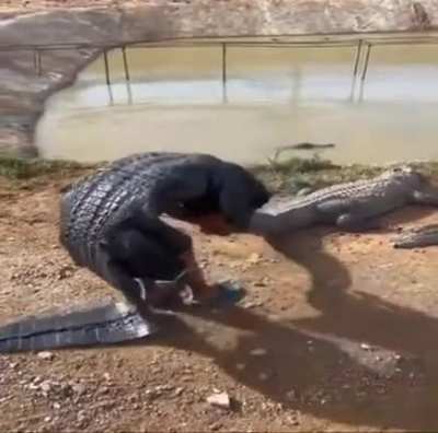 Make Renekton jokes