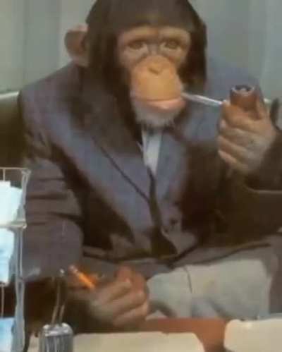 Monke😎