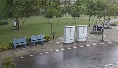 Four people struck by lightning, all four survived.