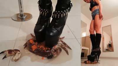 High Heel Boots | Crab