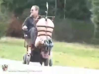 They see me rollin'
