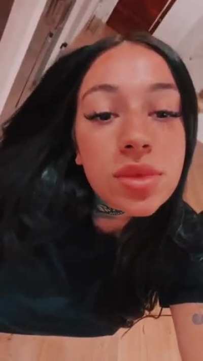 Beautiful 🦋🐩