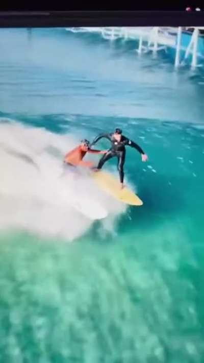 Let me surf, help you surf, then keep on surfing.