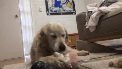 Henry believes that all pigs should be unstuffed on sight. Henry acts on his beliefs.