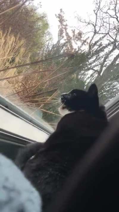 She&rsquo;s a chatty lady