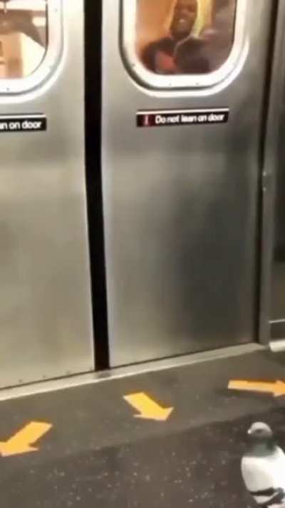 🗿