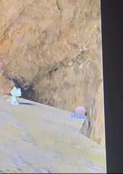 Little buddy is not okay