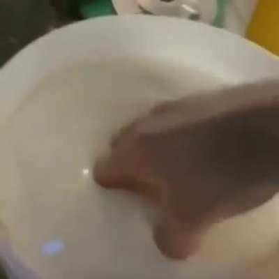 mayo
