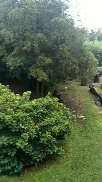 Running for cover from rain