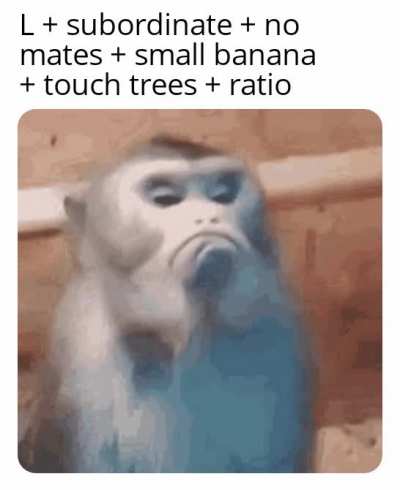 Monke