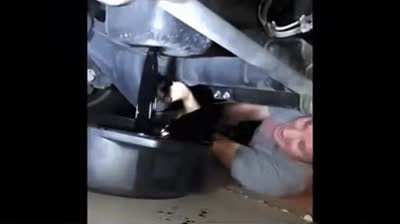 2) Cover yourself in oil