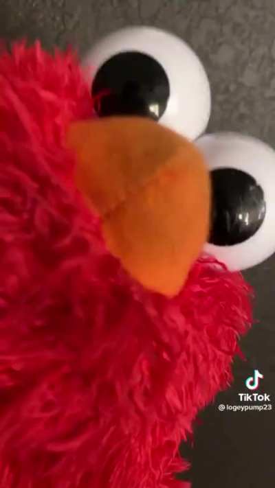 elmo grew up