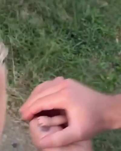 Magic Trick..