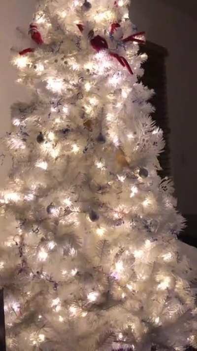 &lsquo;Tis the season