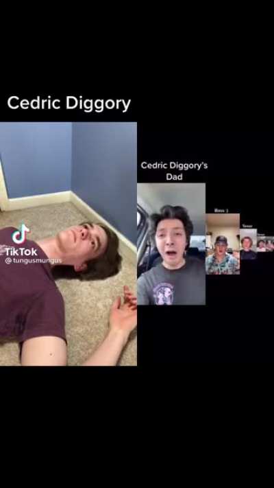 Cedric Diggory