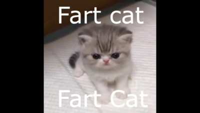 😾💨